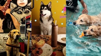 Treat your pet companions to an all-organic, gluten-free menu featuring 'pupizzas', omelettes and dog beer.