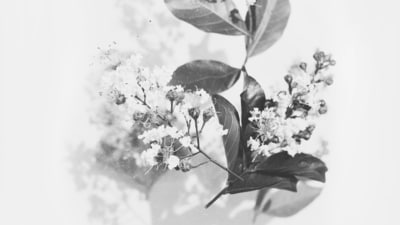 Grey: The fifth day of Navratri is dedicated to Goddess Skandamata, and the colour grey represents strength, protection, and the ability to overcome challenges. (Unsplash) Grey: The fifth day of Navratri is dedicated to Goddess Skandamata, and the colour grey represents strength, protection, and the ability to overcome challenges. (Unsplash)