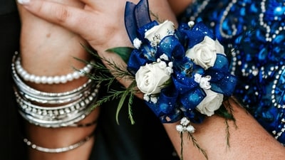 Royal Blue: The second day of Navratri is dedicated to Goddess Brahmacharini, and the color royal blue represents calmness, stability, and wisdom. It also symbolizes the journey of the soul towards spiritual growth and enlightenment. (Unsplash) Royal Blue: The second day of Navratri is dedicated to Goddess Brahmacharini, and the color royal blue represents calmness, stability, and wisdom. It also symbolizes the journey of the soul towards spiritual growth and enlightenment. (Unsplash)