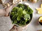 spinach_veggi