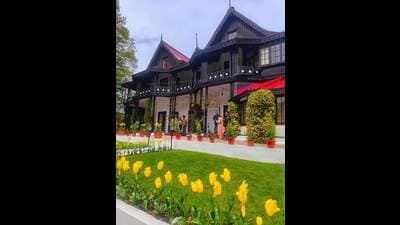 Thus far, more than 50,000 people have visited the complex, with footfall peaking at 650 people on April 7. (HT File Photo) Thus far, more than 50,000 people have visited the complex, with footfall peaking at 650 people on April 7. (HT File Photo)