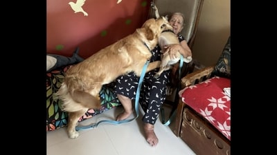 X user Whyshalleee's mother with pet dogs Bailey and Muffin. (X/@Whyshalleee) X user Whyshalleee's mother with pet dogs Bailey and Muffin. (X/@Whyshalleee)