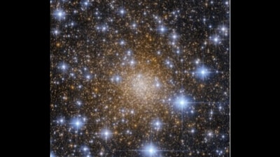 Snapshot of the collection of stars. (Instagram/@NASA) Snapshot of the collection of stars. (Instagram/@NASA)