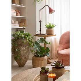 Choose sustainable materials and decor (Instagram) Choose sustainable materials and decor (Instagram)
