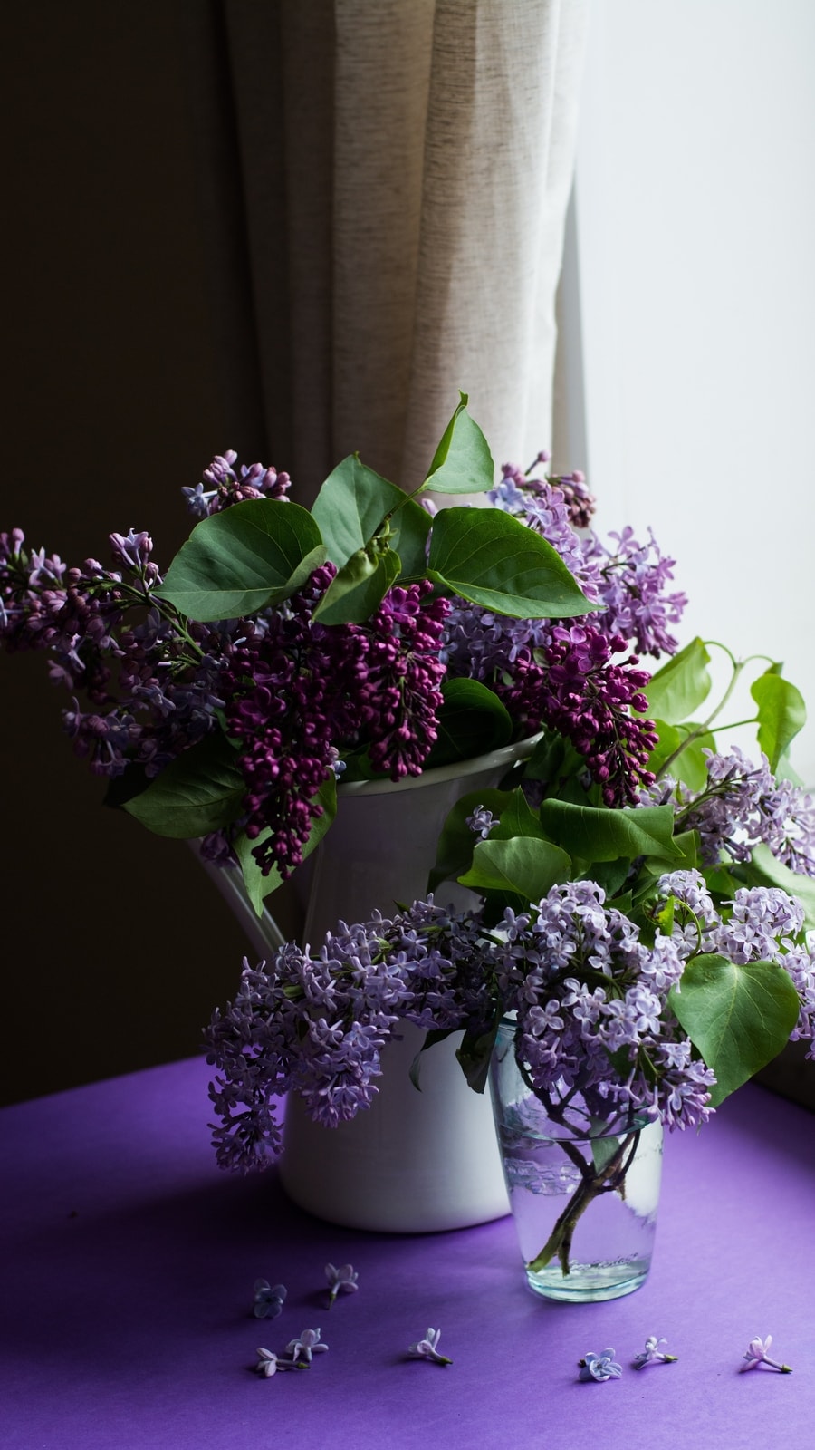 lavender