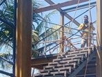 Twin towers to spot avian beauties at Malad Creek nearly ready for birdwatchers Twin towers to spot avian beauties at Malad Creek nearly ready for birdwatchers
