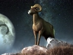 Sun's Transit in Aries 2024: Let us explore its impact on all zodiac signs. Sun's Transit in Aries 2024: Let us explore its impact on all zodiac signs.