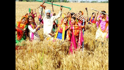 File image of Baisakhi (HT file) File image of Baisakhi (HT file)