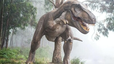 The timing of flowers’ evolution is still a matter of debate between scientists, but most scientists are in one of two camps: Jurassic or Cretaceous. (Unsplash) The timing of flowers’ evolution is still a matter of debate between scientists, but most scientists are in one of two camps: Jurassic or Cretaceous. (Unsplash)