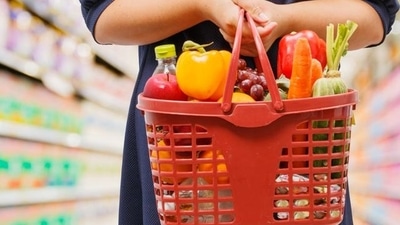 2. Encourage your kids to join you in grocery shopping and selecting foods. Educate them on how to interpret food labels to understand the nutritional value of their choices. Involve them in meal preparation and empower them to take charge of their eating habits. Cultivate a garden as a fun activity for your child. Growing fruits, vegetables, and herbs can impart important lessons while fostering a sense of accomplishment through planting, tending, and harvesting your produce. (Photo by Shutterstock) 2. Encourage your kids to join you in grocery shopping and selecting foods. Educate them on how to interpret food labels to understand the nutritional value of their choices. Involve them in meal preparation and empower them to take charge of their eating habits. Cultivate a garden as a fun activity for your child. Growing fruits, vegetables, and herbs can impart important lessons while fostering a sense of accomplishment through planting, tending, and harvesting your produce. (Photo by Shutterstock)