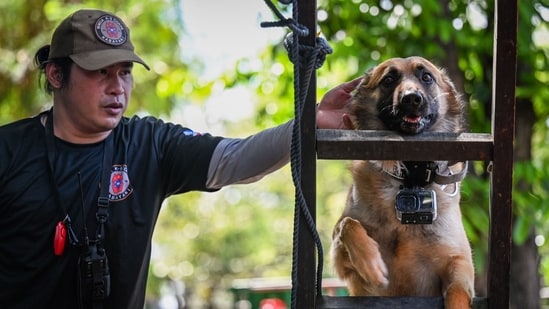 A trainer guiding a pet dog during a search and rescue program in the Philippines. (AFP)