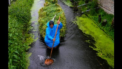 A man wears a raincoat to protect himself from the rain as he transports grass in his boat in Srinagar on Sunday. (AP) A man wears a raincoat to protect himself from the rain as he transports grass in his boat in Srinagar on Sunday. (AP)