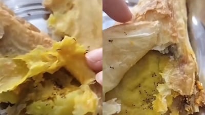 Stills from a video show the stuffing of aloo patties lined with dead ants. (Screenshot: Instagram)