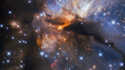 G35.2-0.7N is a star-forming region located around 7,200 light-years away from Earth in the constellation Aquila. (Instagram/@nasahubble) G35.2-0.7N is a star-forming region located around 7,200 light-years away from Earth in the constellation Aquila. (Instagram/@nasahubble)