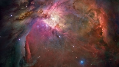 This image captured by the Hubble Space Telescope shows the Orion Nebula, a star-forming region located about 1,300 light-years away from Earth. The image reveals the intricate details of the star-forming process, with newborn stars and their associated protoplanetary disks visible in the nebula. (Instagram/@nasahubble) This image captured by the Hubble Space Telescope shows the Orion Nebula, a star-forming region located about 1,300 light-years away from Earth. The image reveals the intricate details of the star-forming process, with newborn stars and their associated protoplanetary disks visible in the nebula. (Instagram/@nasahubble)