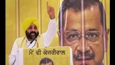 Punjab chief minister Bhagwant Mann. (PTI Photo) Punjab chief minister Bhagwant Mann. (PTI Photo)