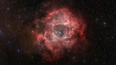 The Rosette nebula, a star-forming region located about 5,000 light-years from Earth, is home to young star clusters. (Instagram/@nasa) The Rosette nebula, a star-forming region located about 5,000 light-years from Earth, is home to young star clusters. (Instagram/@nasa)