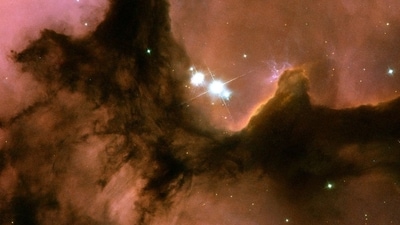 This image captured by the Hubble Space Telescope shows the Trifid Nebula, a star-forming region located about 5,400 light-years away from Earth. (Instagram/@nasahubble) This image captured by the Hubble Space Telescope shows the Trifid Nebula, a star-forming region located about 5,400 light-years away from Earth. (Instagram/@nasahubble)