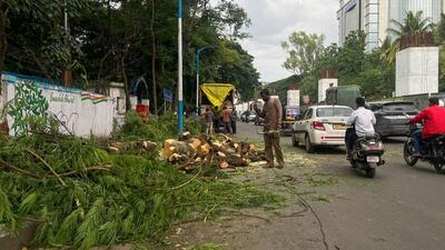 While the PMC tree authority has granted permission for felling 33 trees and replanting 52 trees, NGOs Parisar and Sanrakshan Sanwardhan Sanstha and two individuals have raised concerns over cutting of trees on account of road widening and Metro line 3 and filed a public interest litigation (PIL) in this regard. (Hindustan Times)