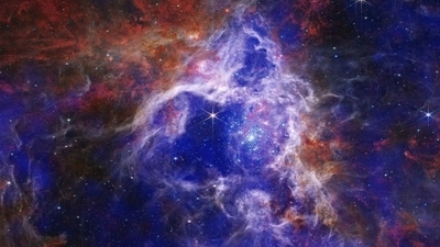 This image captured by the Hubble Space Telescope shows the 30 Doradus (or Tarantula Nebula), a star-forming region located in the Large Magellanic Cloud (LMC), a nearby dwarf galaxy. (Instagram/@nasa) This image captured by the Hubble Space Telescope shows the 30 Doradus (or Tarantula Nebula), a star-forming region located in the Large Magellanic Cloud (LMC), a nearby dwarf galaxy. (Instagram/@nasa)