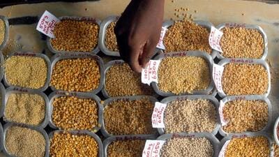 India’s output of pulses dipped to 23.4 million tonne in 2023-24 from 26.1 million tonne a year ago, the agriculture ministry estimated (REUTERS) India’s output of pulses dipped to 23.4 million tonne in 2023-24 from 26.1 million tonne a year ago, the agriculture ministry estimated (REUTERS)