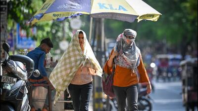 The temperature will rise ahead of another western disturbance later this week. (HT Photo) The temperature will rise ahead of another western disturbance later this week. (HT Photo)
