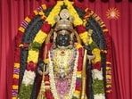 Ayodhya: Idol of Ram Lalla at the Ram Temple on the occasion of 'Ram Navami' festival, (PTI Photo)