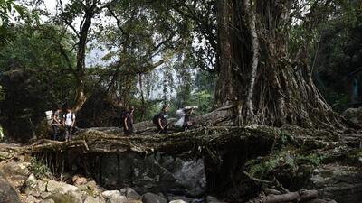 Officials carrying poll material traversing through a double-decker suspension living root bridge in a remote village in Meghalaya. (ECI) Officials carrying poll material traversing through a double-decker suspension living root bridge in a remote village in Meghalaya. (ECI)