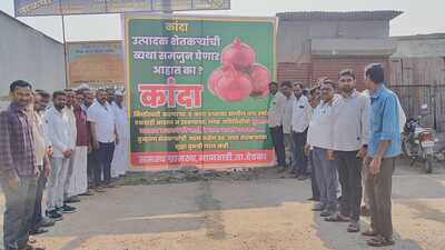 Onion farmers have been suffering from financial hardship for the past several years. (HT PHOTO)