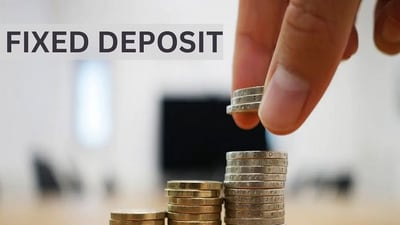 Fixed deposits (FDs) are a prudent financial option since they offer a dependable source of income.