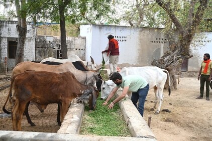 Aftab Ahmed, the Congress MLA from Nuh, said in Alwar, issues of Hindutva and vigilantism are growing in importance. “Alwar has witnessed several incidents of cow vigilantism with some tragic cases such as the lynching of Pehlu Khan. But these incidents also exacerbate existing communal tensions." Aftab Ahmed, the Congress MLA from Nuh, said in Alwar, issues of Hindutva and vigilantism are growing in importance. “Alwar has witnessed several incidents of cow vigilantism with some tragic cases such as the lynching of Pehlu Khan. But these incidents also exacerbate existing communal tensions."