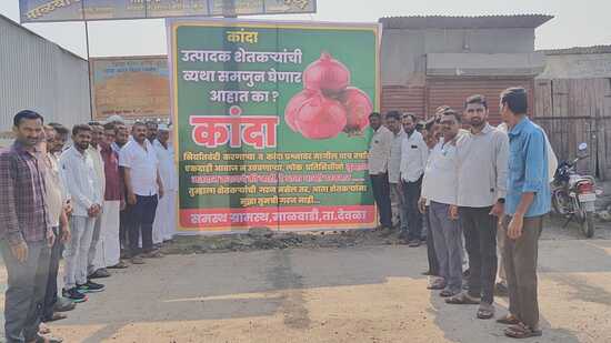 Onion farmers have been suffering from financial hardship for the past several years. (HT PHOTO)
