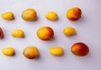 Mango season is upon us(Unsplash)