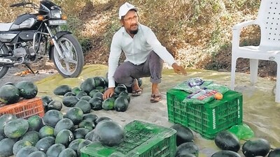 Ramesh Sonawane, who is a post-graduate and serves as a kabaddi umpire during national tournaments, sells watermelons in Nashik to make ends meet.