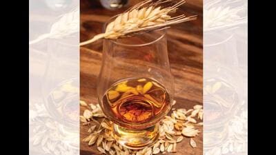 Scotch is usually made from barley. And McDowells’ new single-malt is a step up from the usual flavoured spirit. Scotch is usually made from barley. And McDowells’ new single-malt is a step up from the usual flavoured spirit.