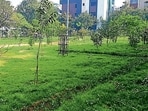 A glimpse of Janakpuri's The Heaven Road Park, before approximately 80 trees were illegally cut inside it.