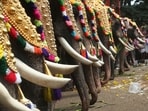 Thrissur Pooram will be celebrated on April 20 this year. 