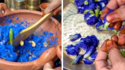 Food vlogger Pratima Pradhan shared the video of the blue rice. (Instagram/thecookingamma) Food vlogger Pratima Pradhan shared the video of the blue rice. (Instagram/thecookingamma)