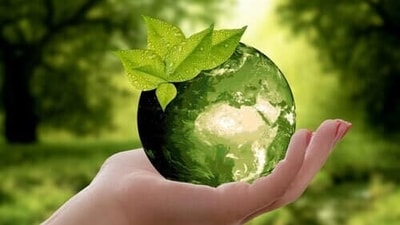Climate crisis (Representational photo / Creative Commons) Climate crisis (Representational photo / Creative Commons)