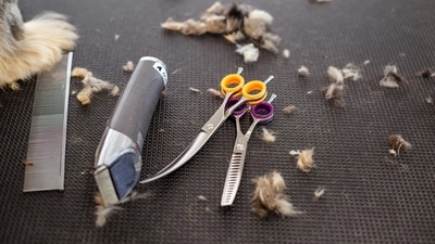 Best trimmer for men: A good trimmer is an effective grooming tool for men. (Pexels)