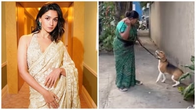 Alia Bhatt amplified a post about a dog being beaten on a Mumbai street. Alia Bhatt amplified a post about a dog being beaten on a Mumbai street.