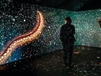 100 artists’ digitised works that form ‘Walking Through a Songline’ will open at MuSo today. 100 artists’ digitised works that form ‘Walking Through a Songline’ will open at MuSo today.