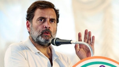 Congress leader Rahul Gandhi (ANI) Congress leader Rahul Gandhi (ANI)