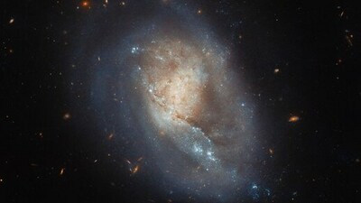 Galaxy IC 3476: A spiral galaxy located in the constellation of Leo, approximately 60 million light-years away from Earth, known for its bright central region and spiral arms. (Instagram/@nasahubble) Galaxy IC 3476: A spiral galaxy located in the constellation of Leo, approximately 60 million light-years away from Earth, known for its bright central region and spiral arms. (Instagram/@nasahubble)
