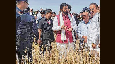 Haryana CM Nayab Singh Saini interacting with farmers at a village along the Karnal-Yamunanagar state highway on Saturday. (HT PHOTO) Haryana CM Nayab Singh Saini interacting with farmers at a village along the Karnal-Yamunanagar state highway on Saturday. (HT PHOTO)