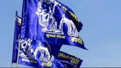 The Mayawati-led party has already announced candidates for Hoshiarpur, Ferozepur, Sangrur, Patiala and Jalandhar. (HT File Photo)