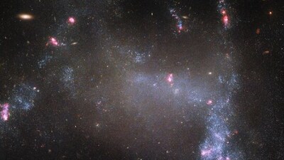 Spider Galaxy or UGC 5829: An irregular galaxy located in the constellation of Draco, approximately 16 million light-years away from Earth, known for its unique spider-like appearance. (Instagram/@nasahubble) Spider Galaxy or UGC 5829: An irregular galaxy located in the constellation of Draco, approximately 16 million light-years away from Earth, known for its unique spider-like appearance. (Instagram/@nasahubble)