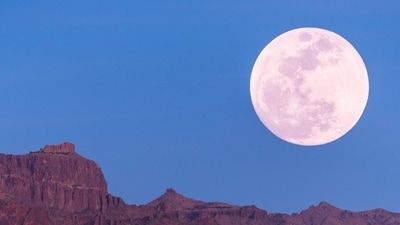 April's Pink Full Moon predictions for all the zodiac signs. (Unplash) April's Pink Full Moon predictions for all the zodiac signs. (Unplash)