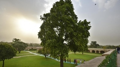 Meditation and Enlightenment: Lord Mahavira meditated for 12 years under an Ashoka tree and attained enlightenment, becoming the last Tirthankara of Jainism. (HT Photo/Raj K Raj) Meditation and Enlightenment: Lord Mahavira meditated for 12 years under an Ashoka tree and attained enlightenment, becoming the last Tirthankara of Jainism. (HT Photo/Raj K Raj)