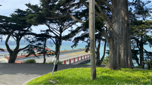 The road to Fort Mason, San Francisco (Author) The road to Fort Mason, San Francisco (Author)